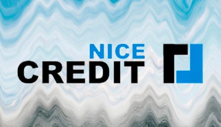Займ в МФО «NiceCredit» круглосуточно срочно на карту